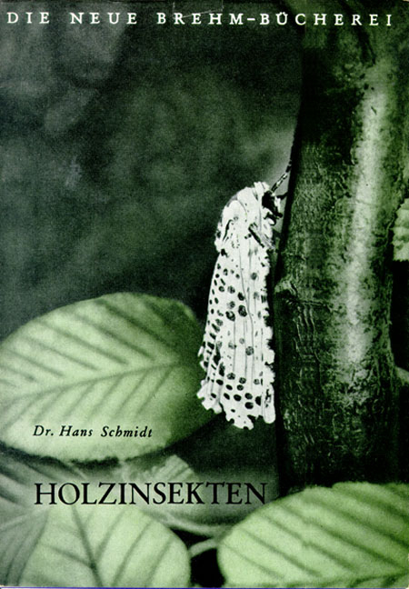 Holzinsekten - Hans Schmidt