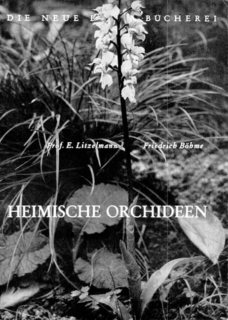 Heimische Orchideen - Erwin Litzelmann