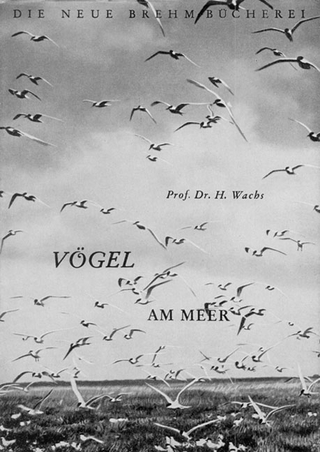 An deutschen Küsten