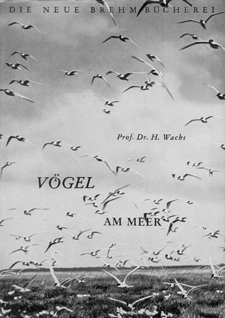 An deutschen K&uuml;sten - H Wachs