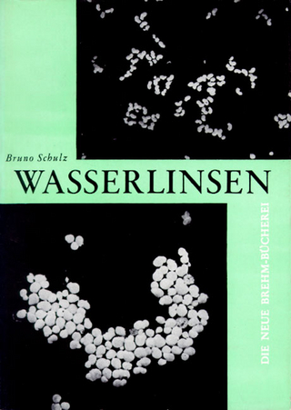 Wasserlinsen