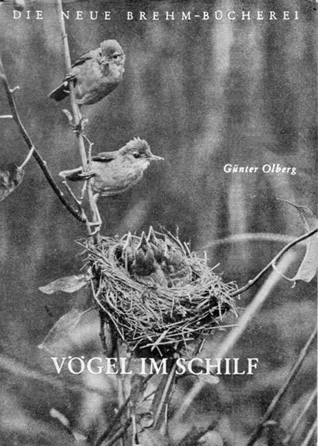 V&ouml;gel im Schilf - G&uuml;nter Olberg