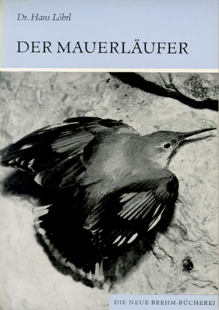 Der Mauerläufer