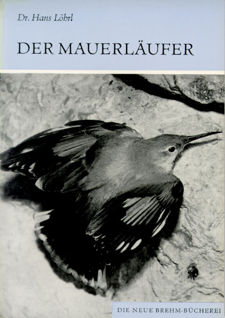 Der Mauerl&auml;ufer - Hans L&ouml;hrl