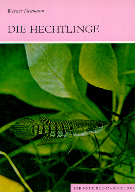 Die Hechtlinge - Werner Neumann
