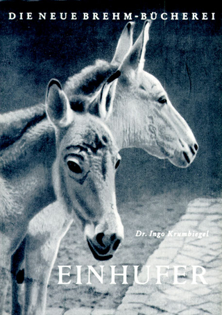 Einhufer