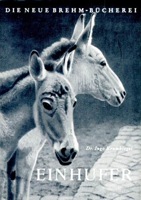 Einhufer - Ingo Krumbiegel