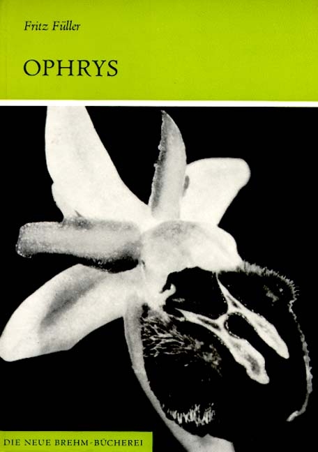 Orchideen Mitteleuropas / Ophrys - Ragwurzarten Mitteleuropas - Horst F&uuml;ller, Fritz F&uuml;ller