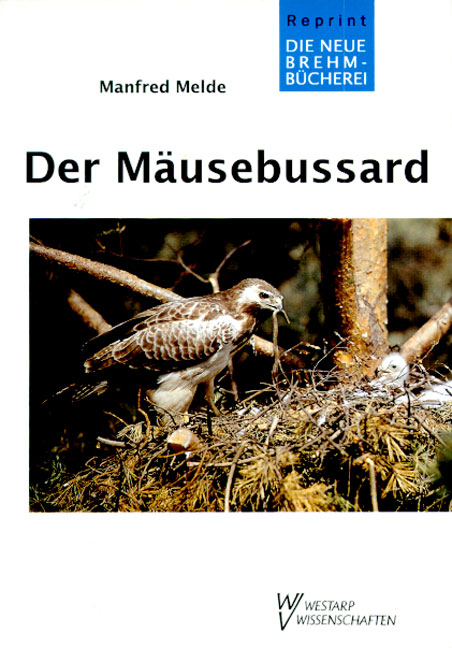 Der M&auml;usebussard - Manfred Melde