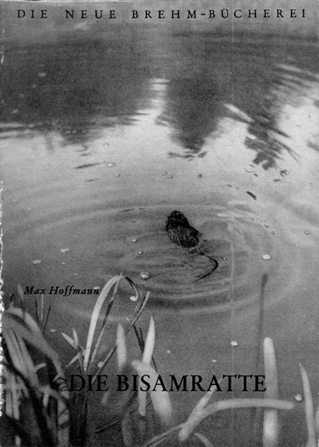 Die Bisamratte - Max Hoffmann