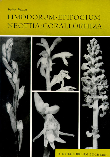 Orchideen Mitteleuropas / Limodorum, Epipogium, Neottia, Corallorhiza - Horst F&uuml;ller, Fritz F&uuml;ller