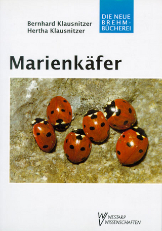 Marienkäfer