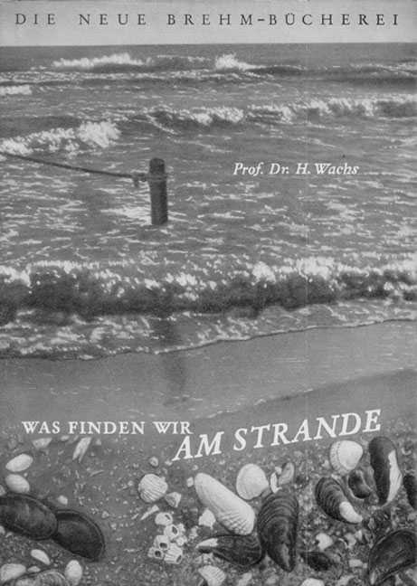 An deutschen K&uuml;sten - H Wachs