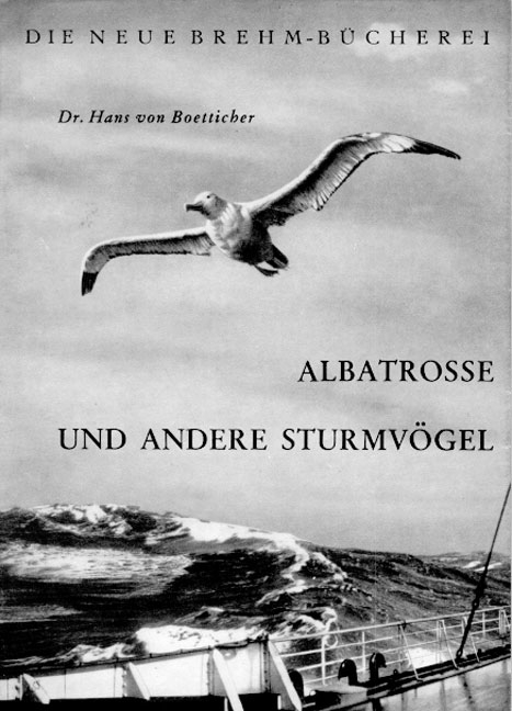 Albatrosse und andere Sturmv&ouml;gel - Hans von Boetticher