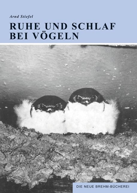 Ruhe und Schlaf bei V&ouml;geln - Arnd Stiefel
