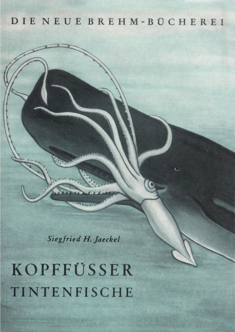 Kopff&uuml;&szlig;er - Siegfried Jaeckel