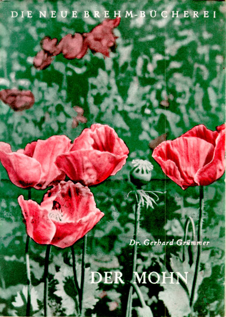 Der Mohn - Gerhard Gr&uuml;mmer