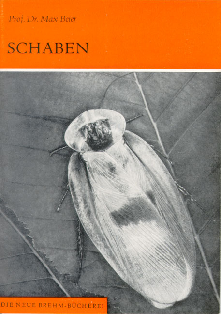 Schaben - Max Beier