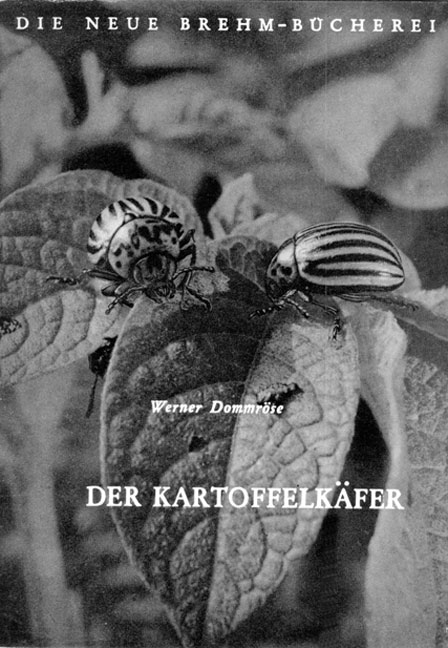 Der Kartoffelk&auml;fer - Werner Dommr&ouml;se