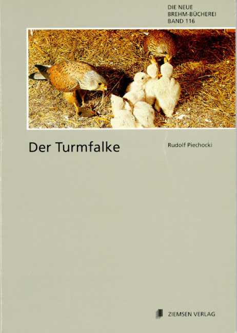 Der Turmfalke - Rudolf Piechocki