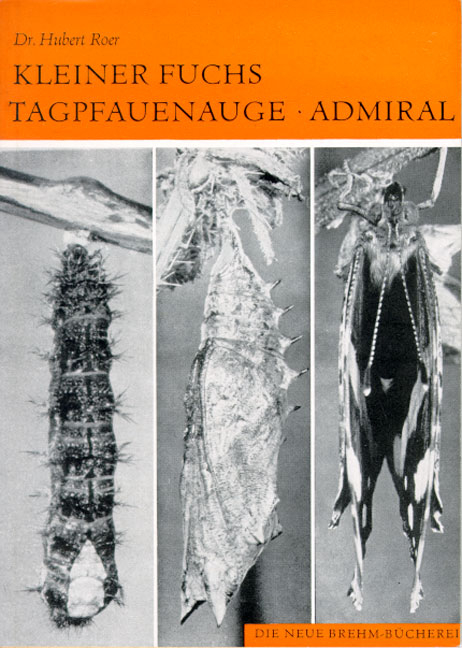 Kleiner Fuchs, Tagpfauenauge, Admiral - Hubert Roer