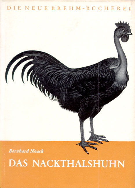Das Nackthalshuhn - Bernhard Noack