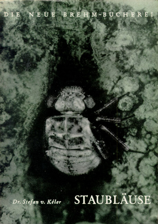 Staubläuse