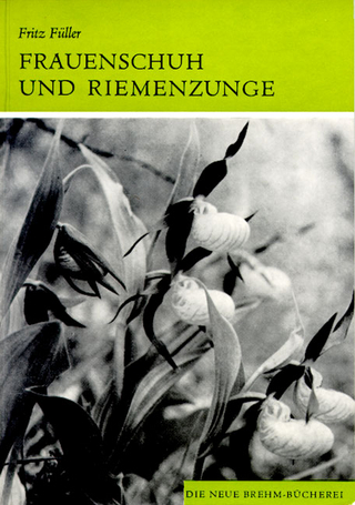 Frauenschuh und Riemenzunge