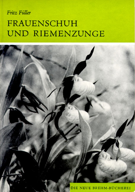 Frauenschuh und Riemenzunge - Horst F&uuml;ller