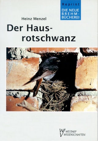Der Hausrotschwanz