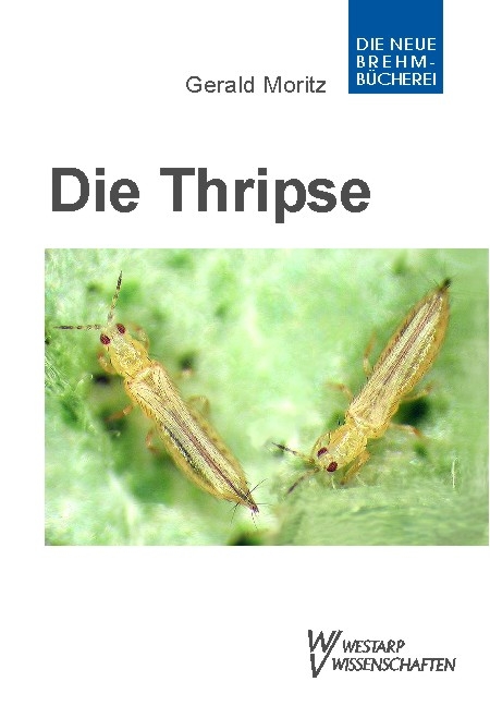 Thripse &ndash; Fransenfl&uuml;gler, Thysanoptera - Gerald Moritz