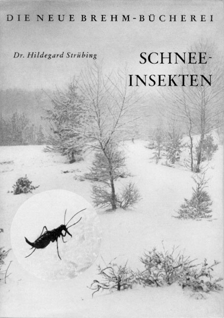 Schneeinsekten - Hildegard Str&uuml;bing