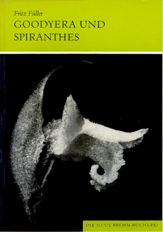 Orchideen Mitteleuropas / Goodyera und Spiranthes