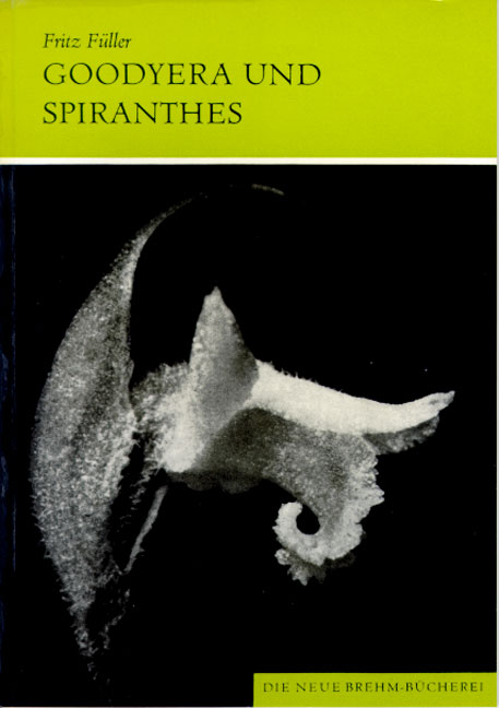 Orchideen Mitteleuropas / Goodyera und Spiranthes - Horst F&uuml;ller, Fritz F&uuml;ller