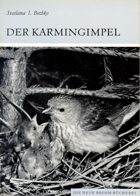 Der Karmingimpel - Swetlana Bozhko