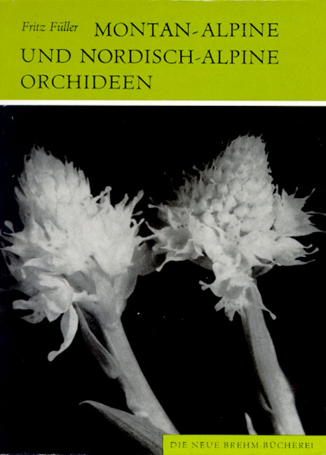 Montan-alpine und nordisch-alpine Orchid - Horst F&uuml;ller