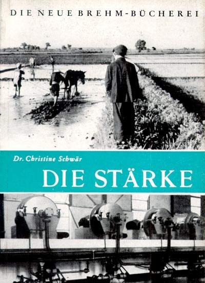 Die St&auml;rke - Christine Schw&auml;r