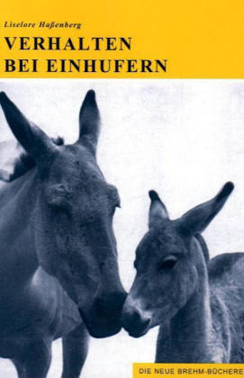 Verhalten bei Einhufern - Lieselore Ha&szlig;enberg