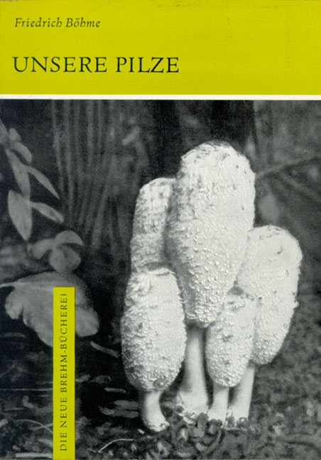 Unsere Pilze - Friedrich B&ouml;hme