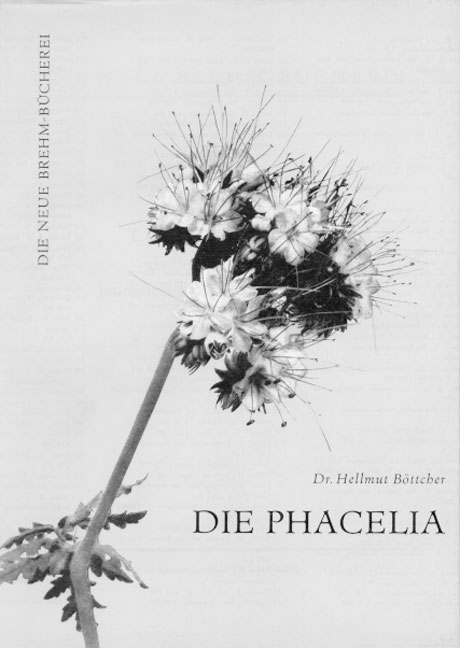 Die Phacelia als Bienenweide und landwirtschaftliche Futterpflanze - Hellmut B&ouml;ttcher