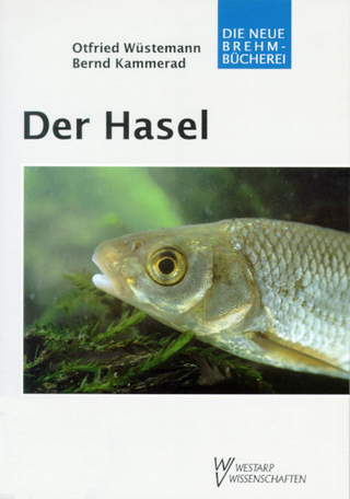 Der Hasel