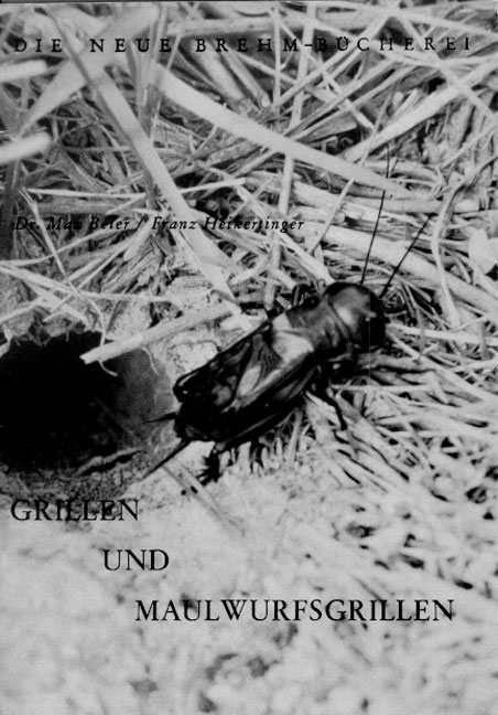 Grillen und Maulwurfsgrillen - Max Beier, Franz Heikertinger