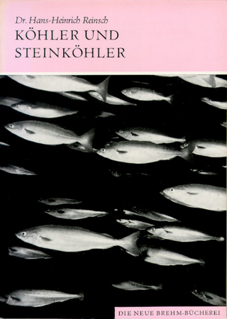 Köhler und Steinköhler
