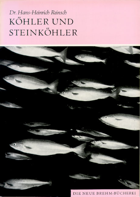K&ouml;hler und Steink&ouml;hler - Hans H Reinsch