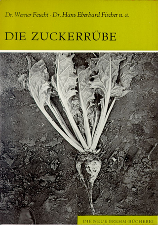 Die Zuckerrübe