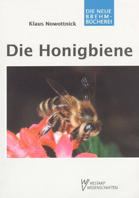 Die Honigbiene - Klaus Nowottnick