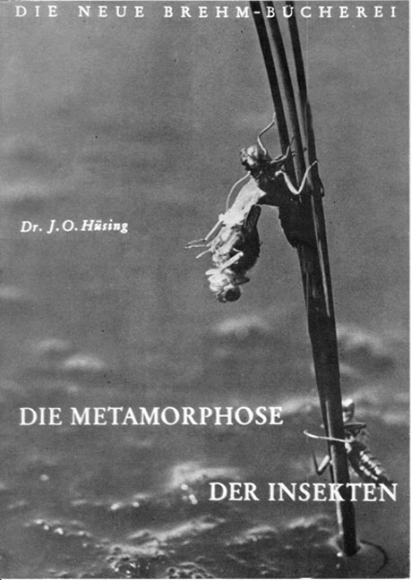 Die Metamorphose der Insekten - Johannes O H&uuml;sing