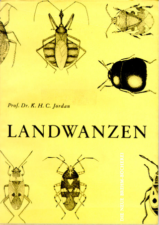 Landwanzen