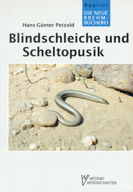 Blindschleiche und Scheltopusik - Hans G Petzold