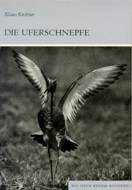 Die Uferschnepfe - Klaus Kirchner
